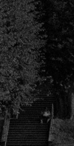 Crop 2 - LS4000ED.jpg