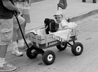 2006-09-10 DG Art Fair0069.jpg