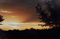 sunset.jpg
