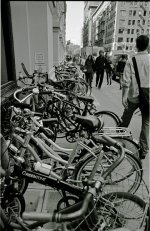waverly bicycles.jpg