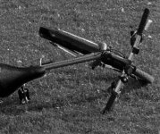 Crop 3 - D80.jpg