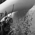 White Henry Moore crop.jpg