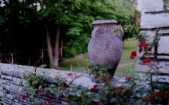 vase.jpg