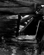 old_cabin.jpg