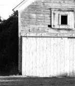 Fuji Acros Test Xtol 1-1 9-5 min 100% crop.jpg