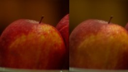 epsonRaw_LR.jpg