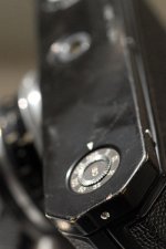 SP-wear-tear3-may09.jpg