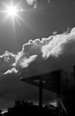 BW238_27.jpg