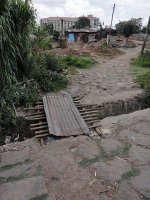 1597 pathway.jpg