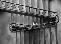 Untitled-1.jpg
