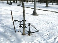 IMG_0907.jpg