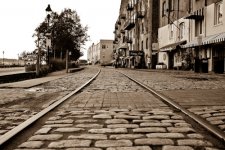 FINAL Sepia Savannah 1 2013.jpg