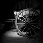 Hassy_BW07_006.jpg