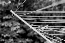 js_M6_070713_002_acros_PrEF_0016 u.jpg
