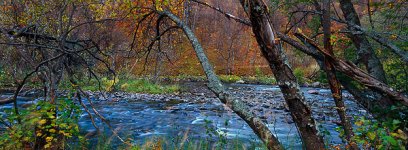 Autumncolors.jpg