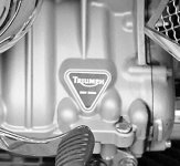 TRIUMPH1_3.jpg