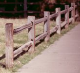 fence2.jpg