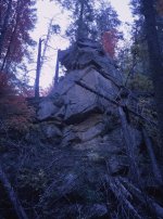 MaplesAndRocksInOakCreekCanyon-645.jpg