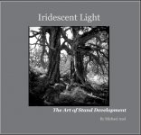 IridescentLightBookCoverx375.jpg