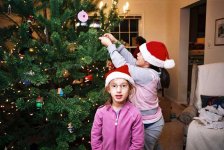 xmas-tree8-dec06.jpg