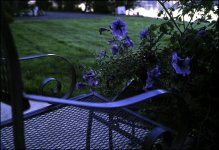 031020-CT43big.jpg