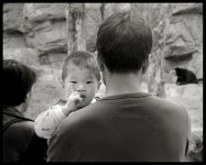 over the shoulder II.jpg