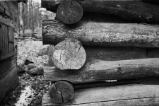 logs 1.jpg
