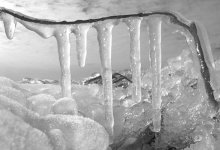 02-11 bw icicles.jpg