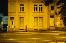 nightwalk (4).jpg