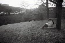 28hillside-tree-apr08.jpg