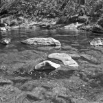 Hassy_BW05_005.jpg