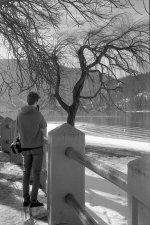 img1116.jpg