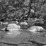 Hassy_BW05_006.jpg