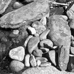Hassy_BW05_011.jpg