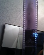 IMG_1146.jpg