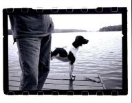 Buddies_on_the_Dock (Medium).jpg
