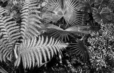 BW209_26.jpg