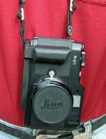 IMG_1357_web.jpg