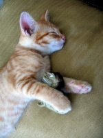 IMG 159-1.jpg