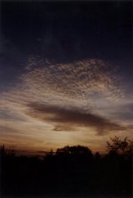 2005-22-upload.jpg