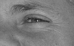 Crop.jpg