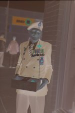 veteran_orig_neg.jpg