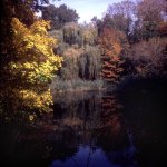 CP,swamp,Nov2003.jpg