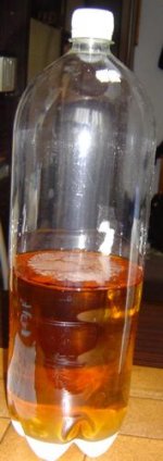 DSC05747.jpg