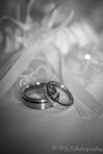 186332913-L-1.jpg