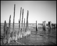M7II shore.jpg