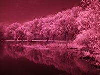 IR_ungrayscaled.jpg