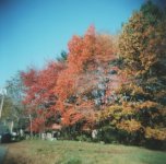 RFF Holga Colors.jpg