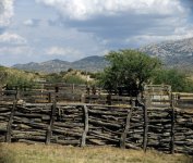 Fences - AZ.jpg