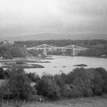 Hass Sept 20 # 004-2.jpg